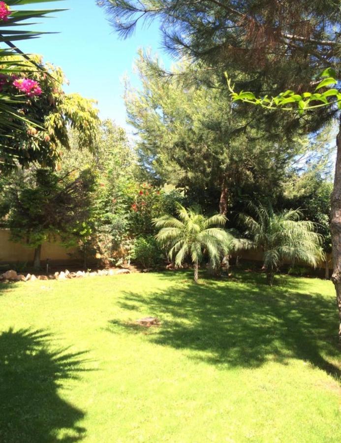 Villa Natalia Айя-Напа Экстерьер фото